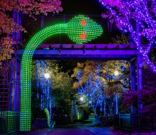 What's that sparkle off 76?  LumiNature is back. Photo courtesy of the Philadelphia Zoo