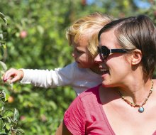 Find Apple Picking Near Connecticut for fall family fun. Photo courtesy of Lyman Orchards