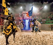 Cheer for your knight during a jousting match at Medieval Times in Lyndhurst. Photo courtesy of Medieval Times