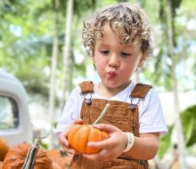 Pumpkins come in all sizes at Tinez Farms. Photo courtesy of Tinez Farms