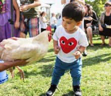 Greenwood Gardens hosts many family-friendly events throughout the year. Photo courtesy of Greenwood Gardens