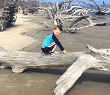 Jekyll Island, Georgia is full of unique beaches for kids to explore. Photo by Charlotte Blanton