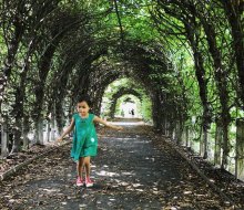 Breeze through the allee at the Snug Harbor Botanical Gardens. This beautiful tunnel of Hornbeam trees is just one of its stunning feature. Photo courtesy of Snug Harbor