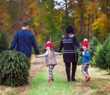 Find the perfect tree at Anne Ellen Christmas Tree Farm in Manalapan. Photo courtesy of the farm
