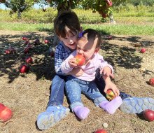 Take a bite out of the large, juicy apples at Lewin Farms. Photo by Gina Massaro