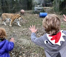 Admission to the Cohanzick Zoo in Bridgeton is completely free. Photo by Lisa Warden 