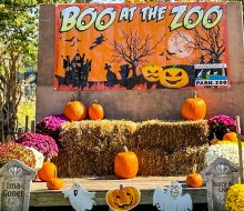 Visitors of all ages are invited to come in costume to the Boo at the Zoo in Cape May. Photo courtesy of Cape May, NJ