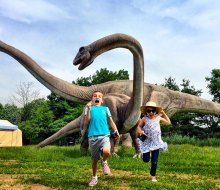 Step back in time at Field Station: Dinosaurs, New Jersey's dinosaur-themed adventure park. Photo courtesy of the venue