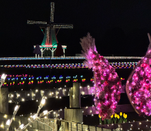 Holland Ridge Farms combines a tulip theme and the holidays in its Winter Wonderland installation. Photo courtesy of Holland Ridge Farms