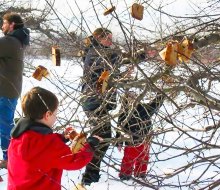 The ancient British tradition of wassailing the apple trees to protect them from harm is a popular winter celebration at Terhune Orchards. Photo courtesy of the orchards