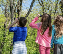 Head over to the East Newark Recreation Center for a day of nature exploration at Nature Day in East Newark.. 