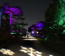 See the whimsical snowflake-covered paths and brightly lit trees at NYBG Glow through January 9, 2021.
