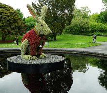 The White Rabbit is a super-sized centerpiece of the NYBG's Wonderland: Curious Nature exhibition.