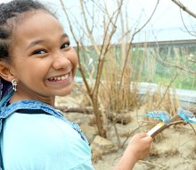 Budgie Landing invites guests into the habitat of 1,000 free-flying mini-parrots for a chance to feed them from a stick. 