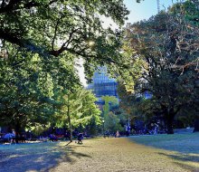 Fort Greene Park. 