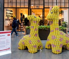 Canstruction is free and open to the public at Brookfield Place through Monday, November 11. Photo by Heidi Lee 