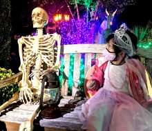 Come face-to-face with spooky skeletons in Queens' Bayside neighborhood. Photo by Judith Aquino