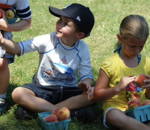 Get your hands on some juicy stone fruits at family-friendly farms for peach picking near NYC like Alstede Farms.. 