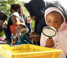 Join Prospect Park Alliance for school recess programs daily from Monday, February 20-Friday, February 24. Photo courtesy of the Prospect Park Alliance