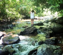 Plan a hiking trip during your visit to the Poconos for a summer weekend getaway. Photo by Ally Noel