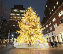 Celebrate the start of the holiday season at the Light Up Brooklyn Commons Christmas tree lighting. Photo by Jakob Dahlin/courtesy of Brookfield Properties