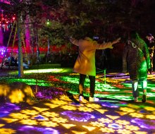 Explore the Brooklyn Botanic Garden after dark during the illuminated spectacular, Lightscape. Photo by Kaleido Circle Culture