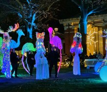 The Bronx Zoo lights up at night during the 2024 holiday season. Photo by Ally Noel