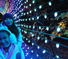 Walk past stunning lanterns and through tunnels of light at the Bronx Zoo Holiday Lights. 
