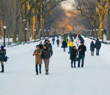 Embrace the winter magic in Central Park. Tagger Yancey IV/NYC Tourism + Conventions