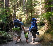 Camp and hike the forests of Olympic National Park. Photo courtesy of NPS