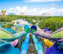 With a variety of Aquatica slides, guests can choose their level of thrill.