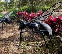 Experience amazing outdoor sculptures of flying insects and birds at Leu Gardens.