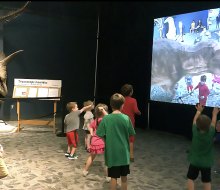 Sleepover with the dinosaurs at the Orlando Science Center. Photo by Charlotte B