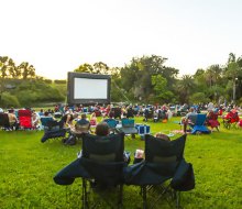 Enjoy outdoor movies in a gorgeous setting. Photo courtesy of Harry P. Leu Gardens