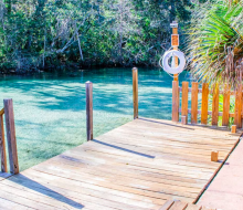 Swim and paddle with adorable manatees during your stay at the aptly-named Manatee Cove Apartment. Photo courtesy of VRBO
