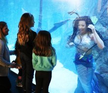 Ocean enthusiasts are encouraged to bring their imaginations to life and embrace the magic of the mer-world at Adventure Aquarium. Photo by Devon K.