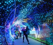 Photo ops abound at the gorgeous light displays at LumiNature. Photo by Winnie Chung for the Philadelphia Zoo