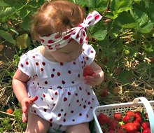 At Highland Orchards Farm and Market, it's all about the berries. 