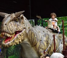 Jurassic Quest stomps into the Jefferson Valley Mall in June. Photo courtesy of Jurassic Quest