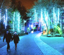 See more than a million lights on Christmas Day at LumiNature t the Philly Zoo. Photo by Georgi Anastasov. 