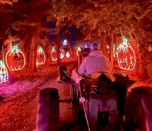 Take a hayride through the woods at Shady Brook Farm's Eerie Illuminations. Photo courtesy of the farms