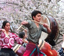 The annual Subaru Cherry Blossom Festival celebrates the cultural ties between Philadelphia and Japan. Photo courtesy of the festival
