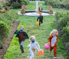 Come in costume to the Morris ArBOOretum and explore the Spooky Scarecrow loop while trick-or-treating. Photo courtesy of the Arboretum