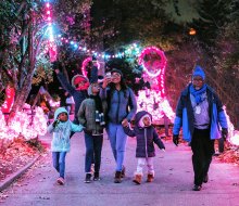 Over a million lights illuminate the Philadelphia Zoo with LumiNature as it transforms into a sparkling winter wonderland.  Photo by Georgi Anastasov