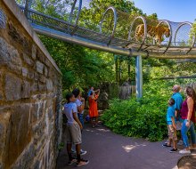 Join in Clarke's Listening Walk at the Philadelphia Zoo to listen, learn and explore the zoo. Photo by J. Fusco/Visit Philadelphia