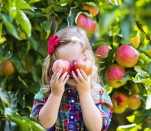 Just about an hour from Chicago, kids can pick apples at Apple Holler from mid-August to November.
