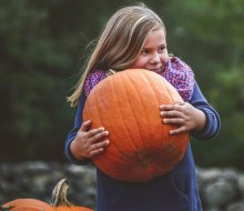 Halloween Events in Connecticut are ready to harvest, like the Festive Fun & Pumpkin Patch at Bishop’s Orchards. Photo courtesy of the Orchard.