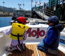 There are tons of Catalina adventures on the water. Photo courtesy of Catalina Tours