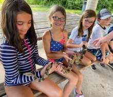 Go wild (budget-friendly wild) with the top free and affordable summer camps in Connecticut for 2024! Mixville Adventure Camp photo courtesy of Chesire Parks and Recreation