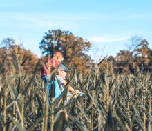 The P-6 Farms Annual Fall Festival features a corn maze. Photo courtesy of P-6 Farms